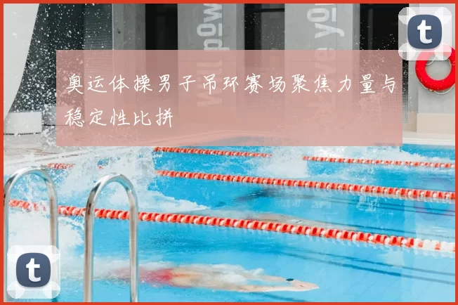 奥运体操男子吊环赛场聚焦力量与稳定性比拼