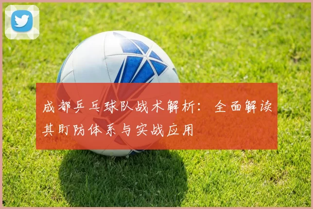 成都乒乓球队战术解析:全面解读其盯防体系与实战应用
