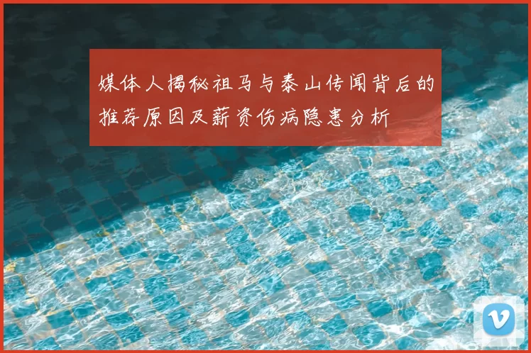 媒体人揭秘祖马与泰山传闻背后的推荐原因及薪资伤病隐患分析