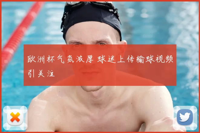 欧洲杯气氛浓厚 球迷上传输球视频引关注