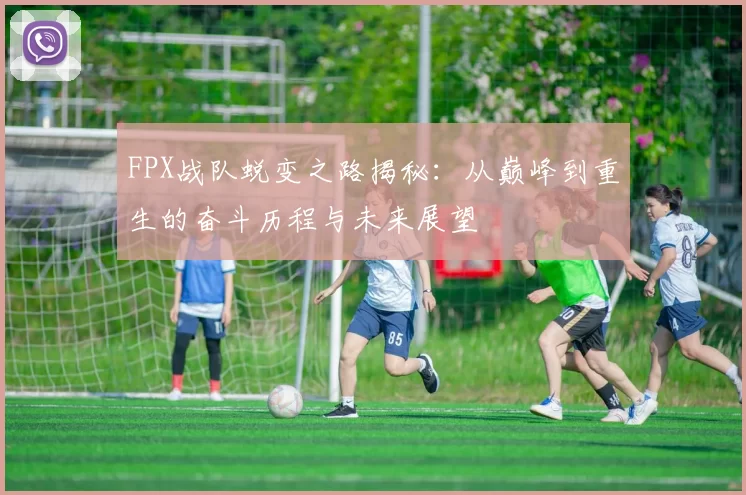 FPX战队蜕变之路揭秘：从巅峰到重生的奋斗历程与未来展望