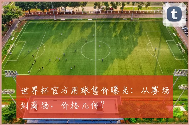 世界杯官方用球售价曝光：从赛场到商场，价格几何？