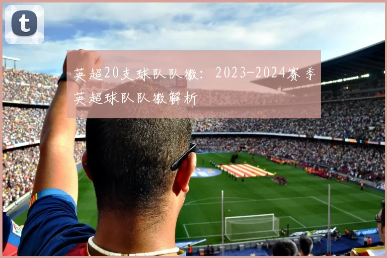 英超20支球队队徽：2023-2024赛季英超球队队徽解析