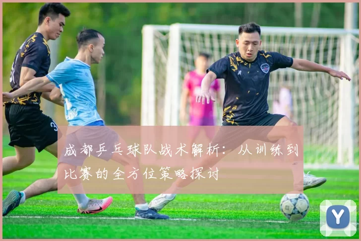 成都乒乓球队战术解析：从训练到比赛的全方位策略探讨