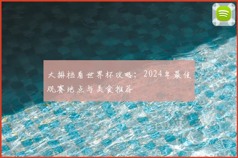 大排档看世界杯攻略：2024年最佳观赛地点与美食推荐