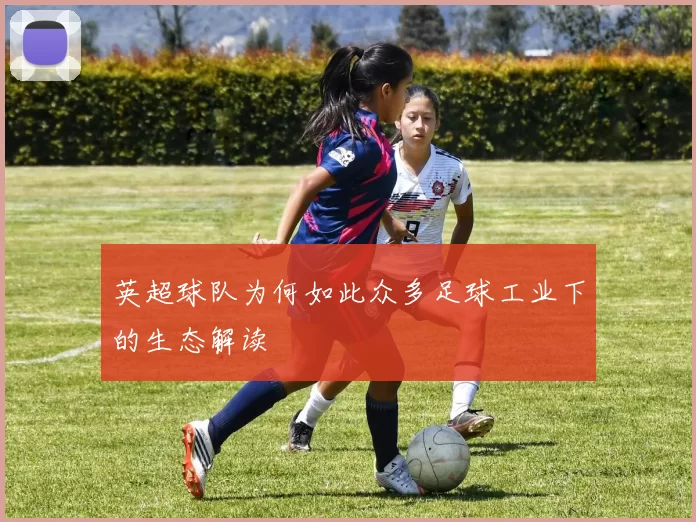 英超球队为何如此众多足球工业下的生态解读