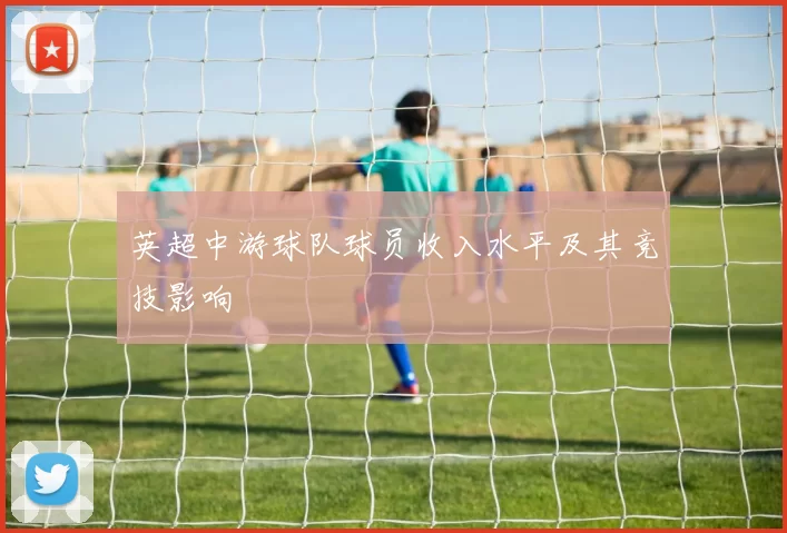 英超中游球队球员收入水平及其竞技影响