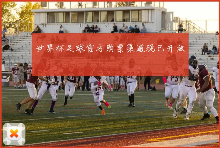 世界杯足球官方购票渠道现已开放