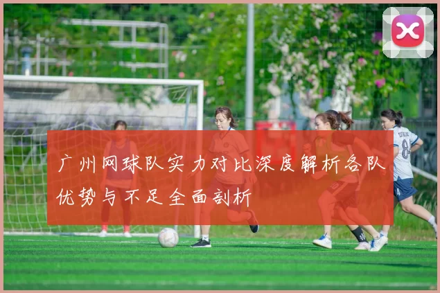 广州网球队实力对比深度解析各队优势与不足全面剖析