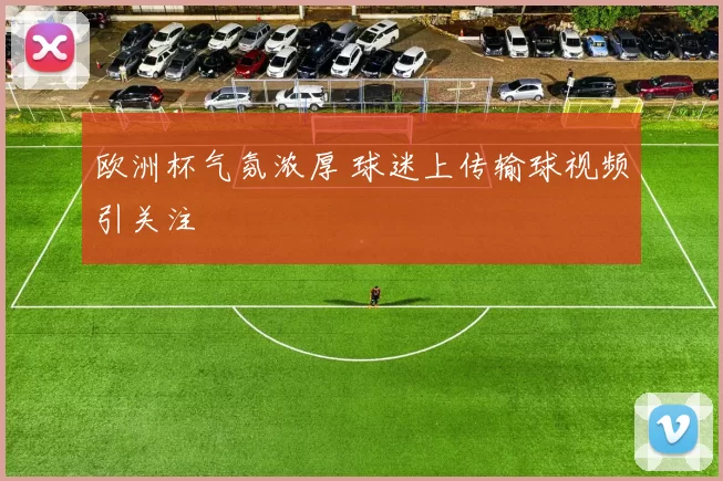 欧洲杯气氛浓厚 球迷上传输球视频引关注