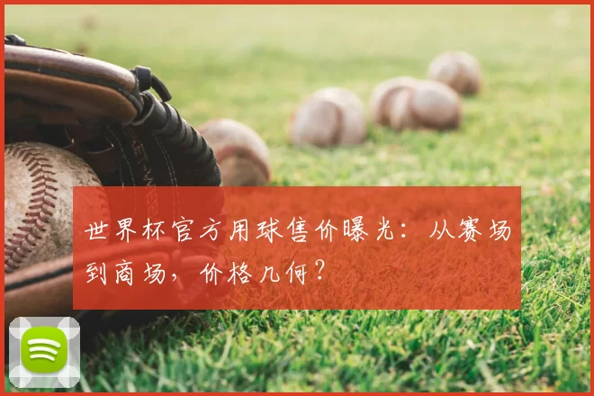世界杯官方用球售价曝光:从赛场到商场,价格几何?