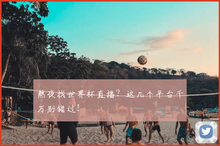 熬夜找世界杯直播?这几个平台千万别错过!
