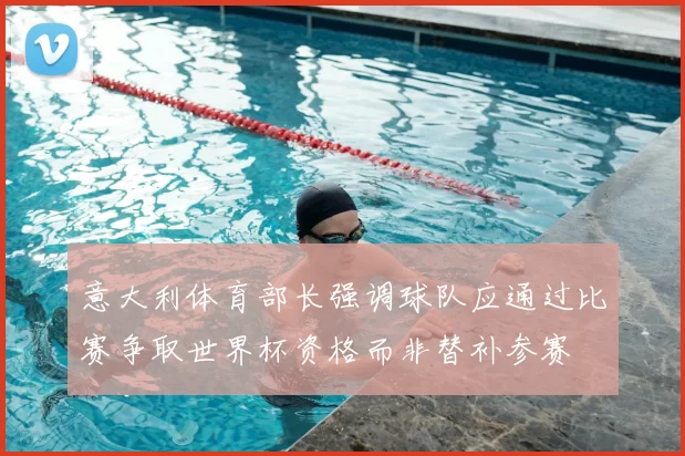 意大利体育部长强调球队应通过比赛争取世界杯资格而非替补参赛