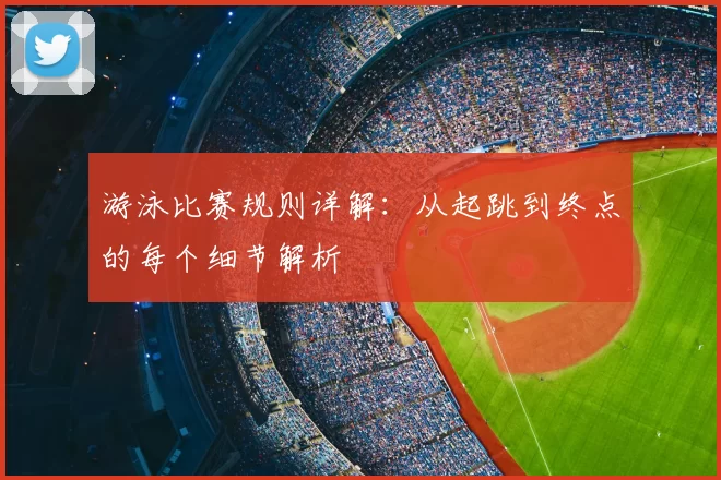游泳比赛规则详解：从起跳到终点的每个细节解析