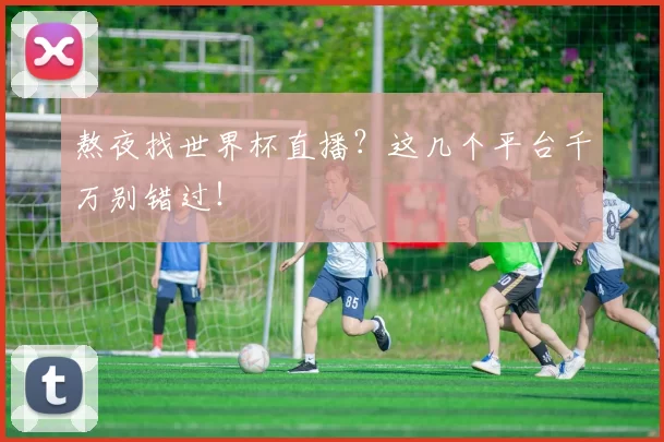 熬夜找世界杯直播？这几个平台千万别错过！