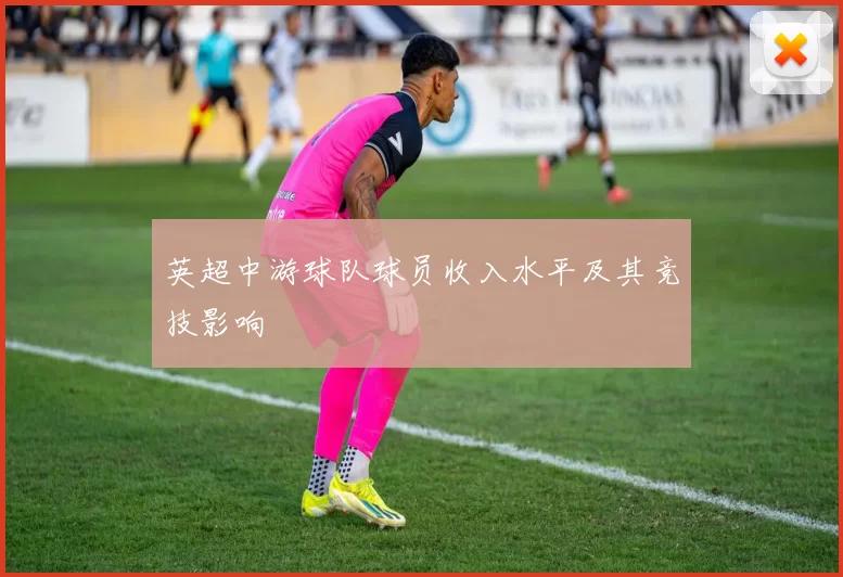 英超中游球队球员收入水平及其竞技影响