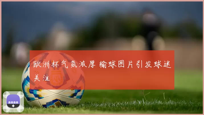欧洲杯气氛浓厚 输球图片引发球迷关注
